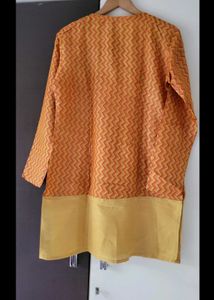 Elegant Ethnic paper Silk Kurta