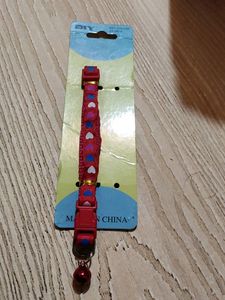 Cat Belt With 1 Kg Freebies