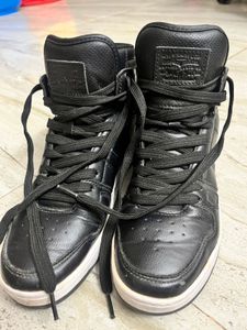 Levi's Black High-Top Sneakers
