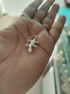 Pure Silver Lizard Nd Tortoise Fir Laxmi Pooja.