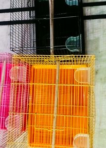 Folding Cage Pijara