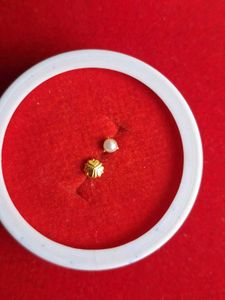 Pearl &amp; Gold Stud Earrings