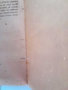 2 Bengali Books About Netaji.