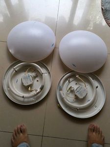 Ceiling Lights (Set of 2)