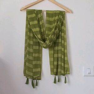 Green Striped Tassel Scarf