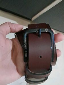Branded Woodland Belt ( NO BOX )