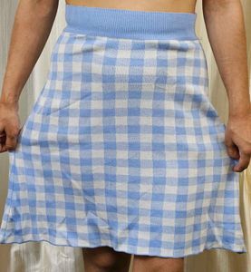 Blue Gingham Skirt