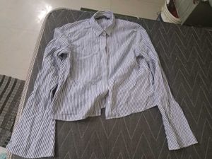Striped Shirt
