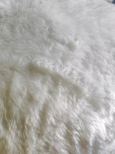 Furry  Cushion