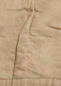 Embroidered Saree Blouse