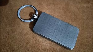 Scorpion Keychain With Loghter