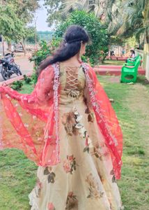 Heavy Organza Frock