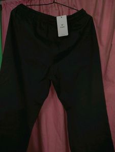 Trouser For Men