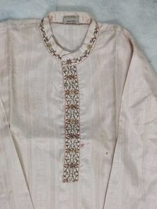 Elegant Ethnic Kurta