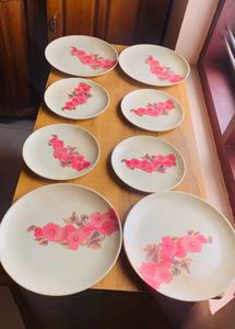 DINNER PLATES