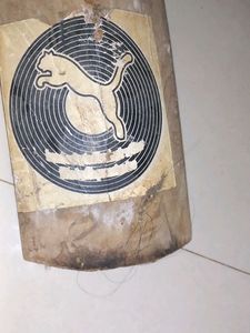 Bat