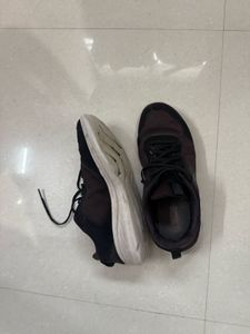 Skechers Shoes 100% Original