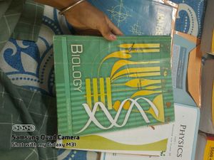 Class XI Physics Textbook - Part I