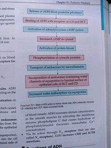 GK Pal Medical Physiology Latest Edition Textbook