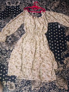 Women Shots  Sheer Brown, Beige Dress