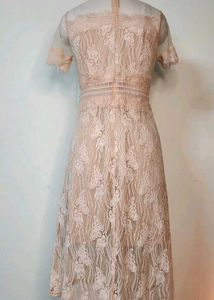 Net Dress