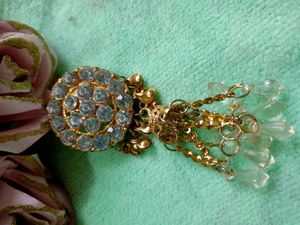 Hair Or Saree Pin