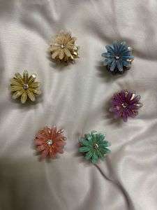 6 Floral Hair Clips