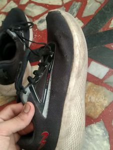 campus sports shoes