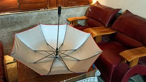 Foldable Umbrella