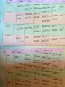 Sanskrit Book Class 8th