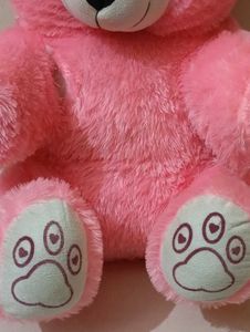 Pink Teddy For Kids