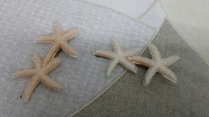 Hair accessories Pair