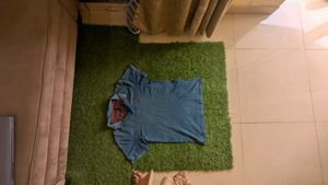 branded tshirt for men blue color