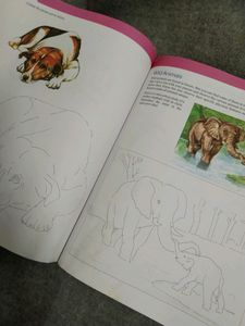 Art Book (New)
