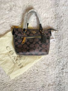Coach Premium Quality  Mini Bag