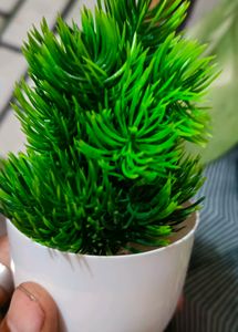 Artificial plants Set Of 5