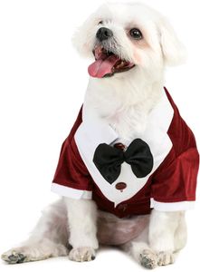 New Dog Bow Tie Dress Maroon Xxl
