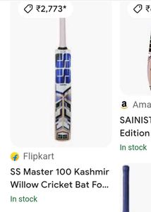 SS Kashmir Willow Bat