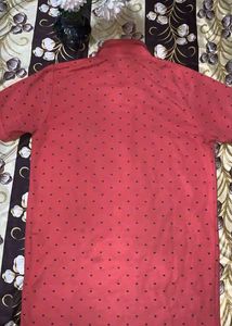 Casual Classy U.S Polo t shirt for Men