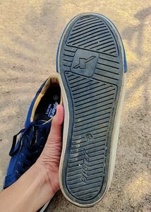 Sparx Brand New Sneckers/Shoes
