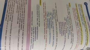 1 St Year Mbbs Anatomy Notes ( Johari ) Vol -1