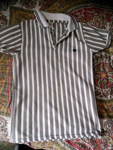 Grey Vertical Strips Printed Tshirt