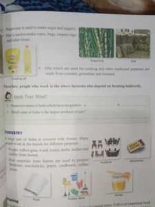 Explore Social Studies-3