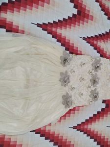 Elegant Ethnic Gown
