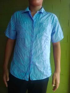 Light Blue Striped Short Sleeve Shirt