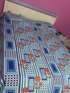 Double bedsheet + 2 Pillow Covers