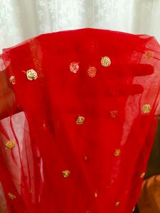 Red Sequin Dupatta