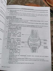 Human Anatomy Vol. 1
