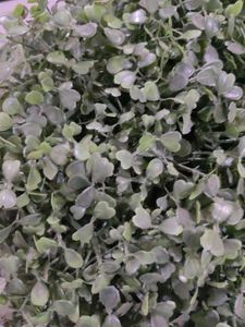 Artificial Green Plant