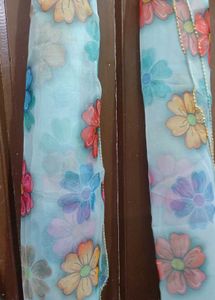 My Stunning Organza Dupattas At Your Service